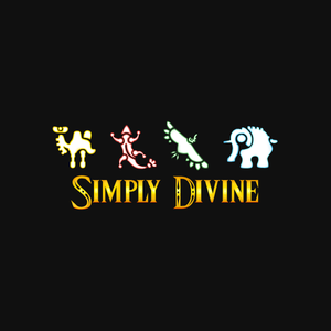 Simply Divine – Legend of Zelda T-Shirt