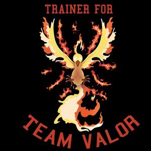 Team Valor- Pokemon GO T-Shirt